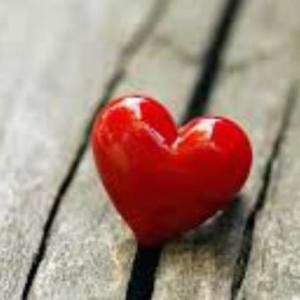 Meet your Posher, Terry